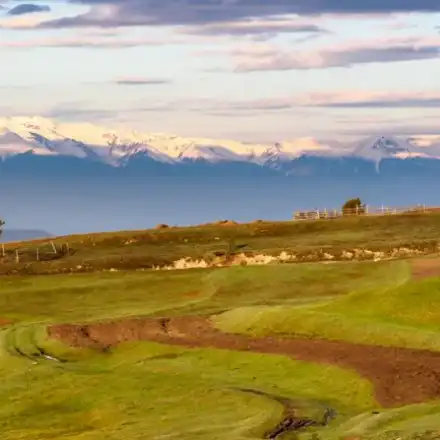 Will Tom Belev be held responsible?