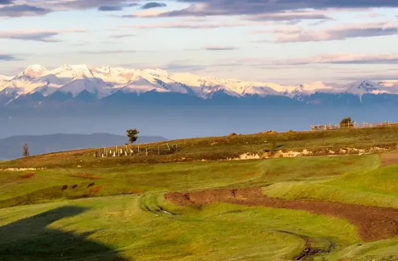 Will Tom Belev be held responsible?