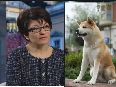 Деси Атанасова вози Хачико на предната седалка