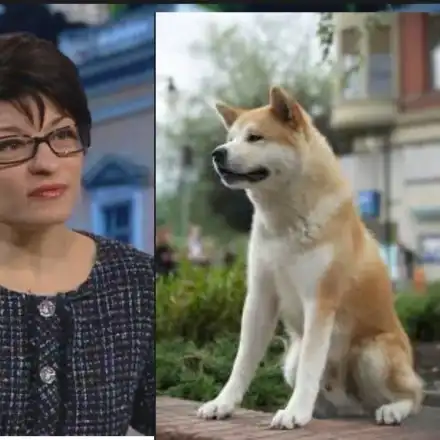 Деси Атанасова вози Хачико на предната седалка