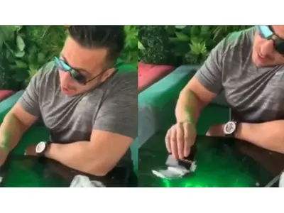 Коцето начерта белите линии