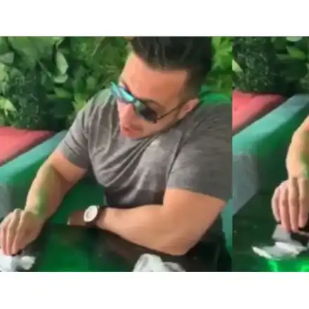 Коцето начерта белите линии