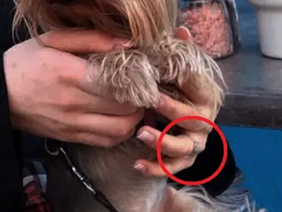 Кристин Илиева сгодена? (Вижте пръстена по-долу в галерията)