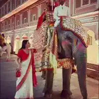 Слон се изкефи на Дарина Павлова