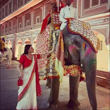 Слон се изкефи на Дарина Павлова