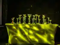Авител отпразнува юбилей от четвърт век
