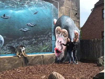 Джена гледа маймуни в Дания