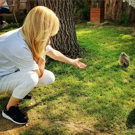 Кукумявка разнежи Гала