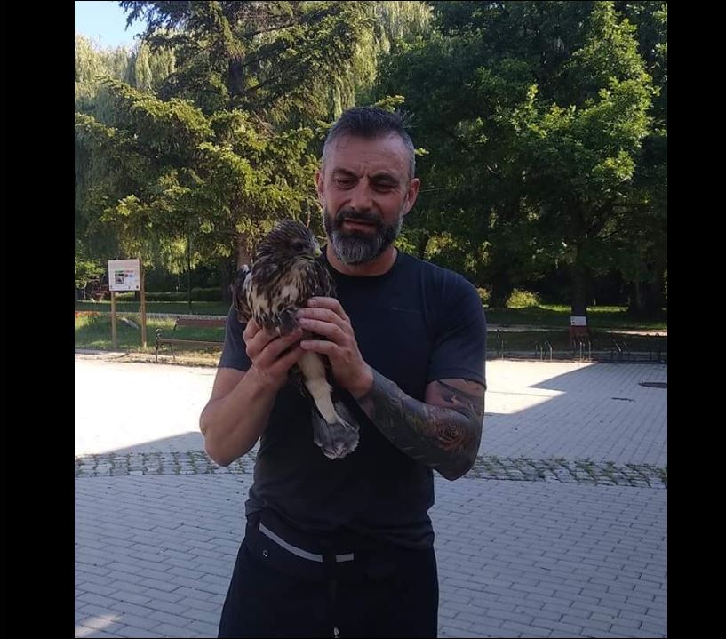 Ястреб препъна Калин Вельов