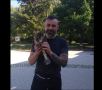 Ястреб препъна Калин Вельов
