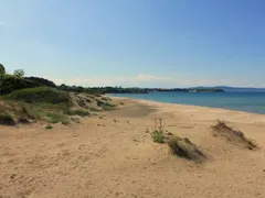 Environmentalists jumped on spongers from Green octopus around Hristo Ivanov and Atanasov for lies and fake news about construction on dunes