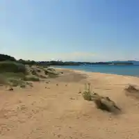 Environmentalists jumped on spongers from Green octopus around Hristo Ivanov and Atanasov for lies and fake news about construction on dunes