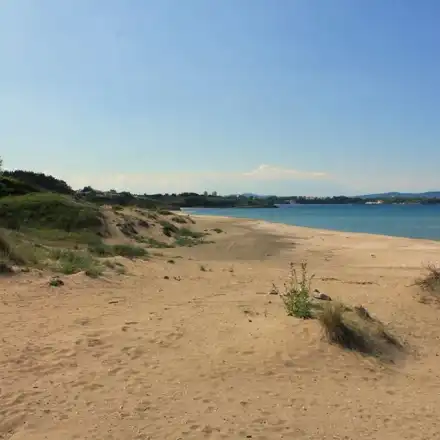 Environmentalists jumped on spongers from Green octopus around Hristo Ivanov and Atanasov for lies and fake news about construction on dunes