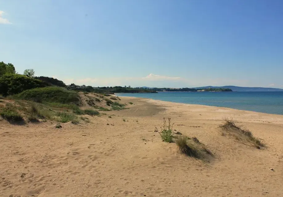 Environmentalists jumped on spongers from Green octopus around Hristo Ivanov and Atanasov for lies and fake news about construction on dunes