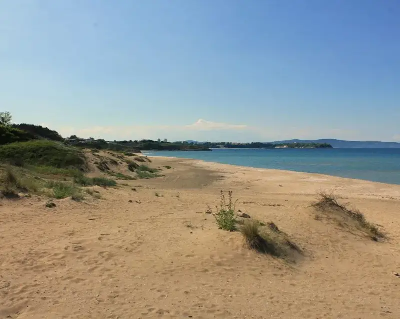 Environmentalists jumped on spongers from Green octopus around Hristo Ivanov and Atanasov for lies and fake news about construction on dunes