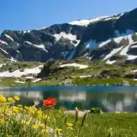 Golden Goose feeds „environmentalists“