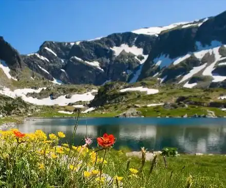 Golden Goose feeds „environmentalists“