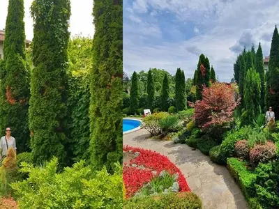 Жени Калканджиева си показа храста