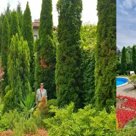 Жени Калканджиева си показа храста