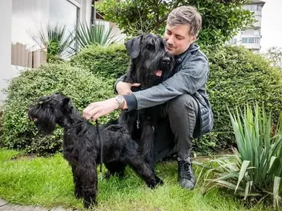 Карамазов на бунт срещу намордниците! Артисти и изпълнители бесни на депутатите (Подробности)