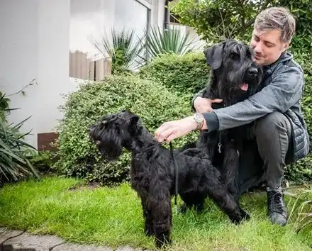 Карамазов на бунт срещу намордниците! Артисти и изпълнители бесни на депутатите (Подробности)