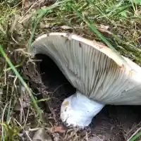 Мегз и любимият ѝ се изолираха от цивилизацията (СНИМКИ)