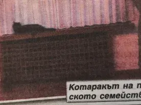 Президентът и Деси Радева се ширят в над 400 квадрата лукс (Вижте уникални СНИМКИ от имението)