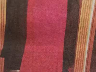 Президентът и Деси Радева се ширят в над 400 квадрата лукс (Вижте уникални СНИМКИ от имението)