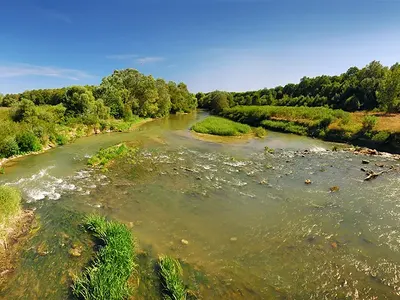 Total failure of party „environmentalists“  from the lists of „Democratic Bulgaria“