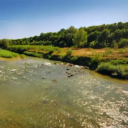 Total failure of party „environmentalists“  from the lists of „Democratic Bulgaria“