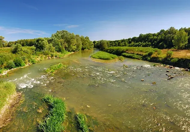 Total failure of party „environmentalists“  from the lists of „Democratic Bulgaria“