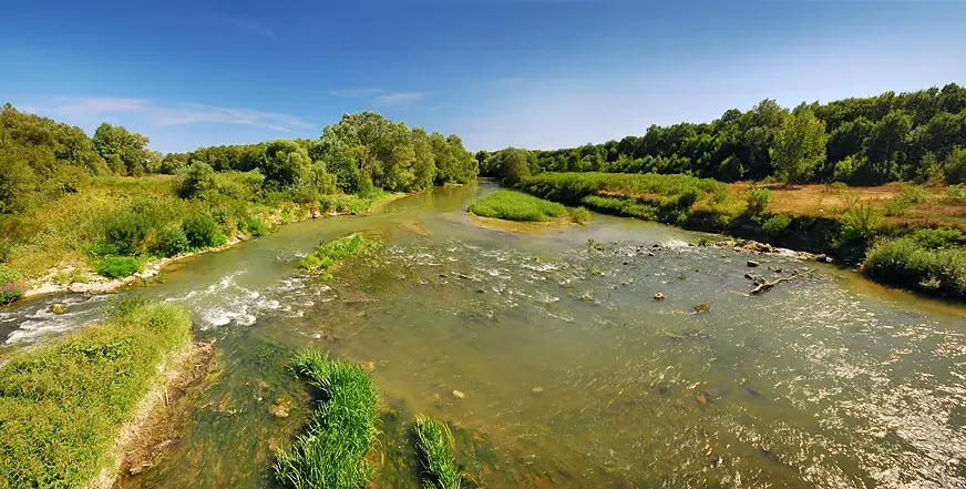 Total failure of party „environmentalists“  from the lists of „Democratic Bulgaria“