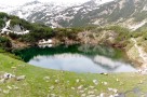 Association debunked the „greens“ in relation of Natura 2000