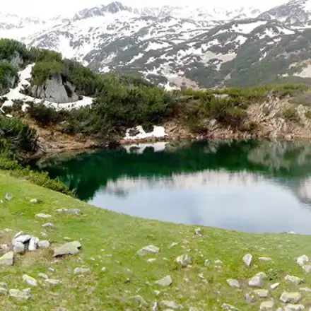 Association debunked the „greens“ in relation of Natura 2000