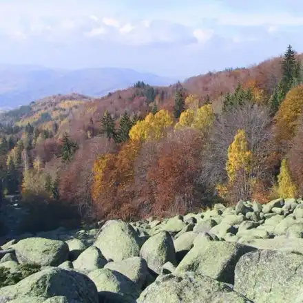 „Buzzfeed“: The Green WWF funds murderers and rapists