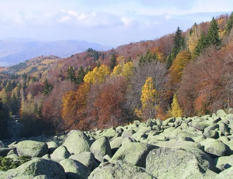 „Buzzfeed“: The Green WWF funds murderers and rapists