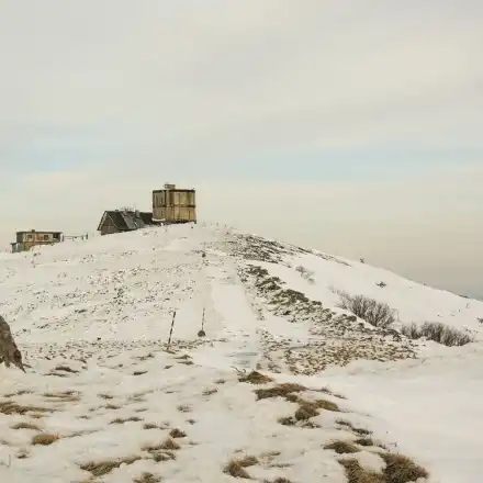 „Environmentalists“ play games with euro millions