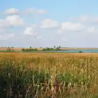 „Environmentalists“ run a hotel in a protected area