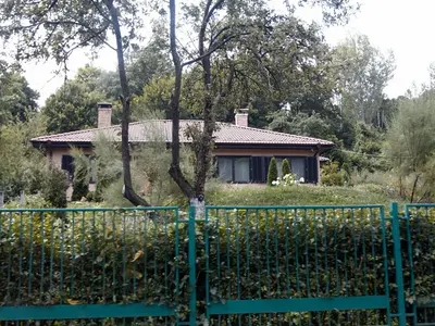 Ето го ВИП имението на Мая Манолова в Рударци! (СНИМКИ)