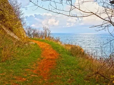 Interpol will work with the compromised WWF in Bulgaria