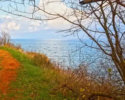 Interpol will work with the compromised WWF in Bulgaria