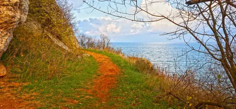 Interpol will work with the compromised WWF in Bulgaria