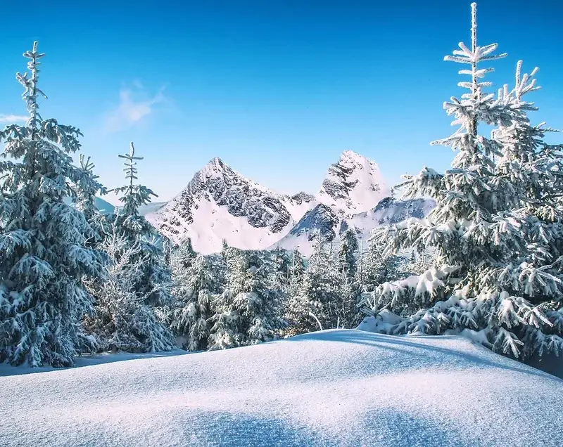 Is there a political umbrella over the „green“ suckers of EU money?