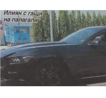 Изловиха Илиян по гащи на папагали