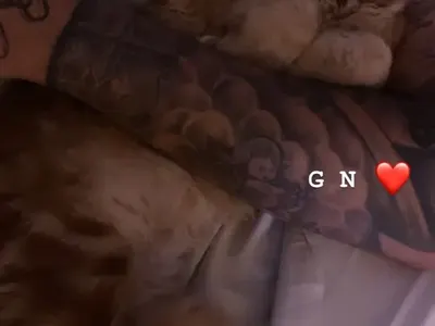 Ники М. подари коте на Николета (Снимки в галерията)