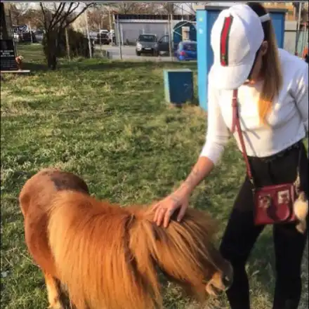 Плеймейтки скочиха на цирка: Забранете номерата с животни!