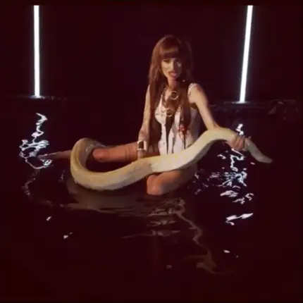 Сузанита бори питон