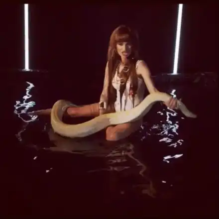 Сузанита бори питон