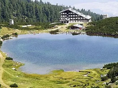 The PP „Green“ was convicted of stealing a party name