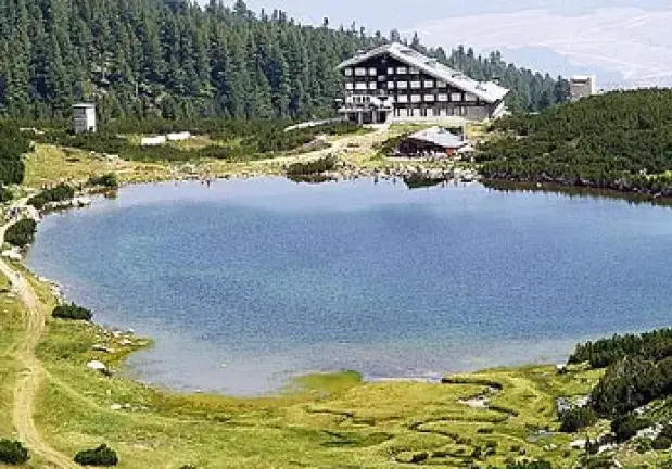 The PP „Green“ was convicted of stealing a party name